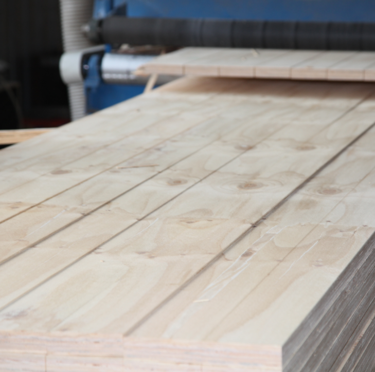Pine Eucalyptus Structural Plywood for Concrete System